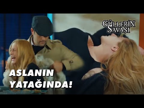 Gülfem, Tibet'in Yatağında...