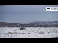На Анадырском лимане эвакуировали пассажиров аэроглиссера