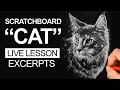 Scratchboard Art Lesson - Cat