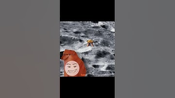 Cơm chiên | cre:steveogvn (tiktok) #baoexeteam #funny #memes #edit #cheems #j4f #cringe #brainrot