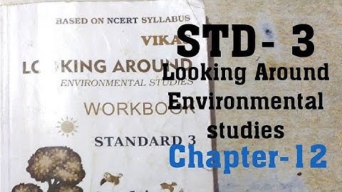 STD-3/Chapter-12/Work We Do/Looking Around/Environmental/ Workbook/Answer/English Medium/