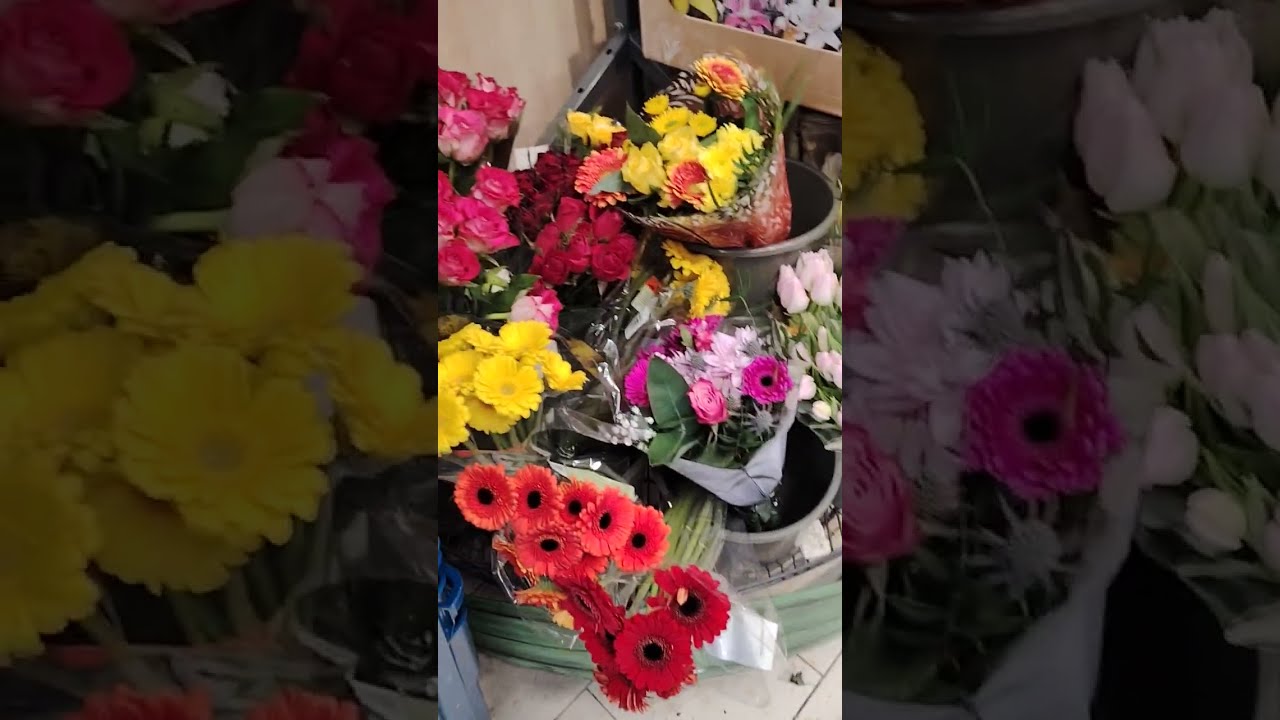 Vlog 2 parte.... Ricomincia la stagione dei tulipani!! Felice... Un anticipo di primavera 🌷🌷