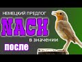 🦜 Немецкий предлог NACH в значении ПОСЛЕ. Примеры употребления.