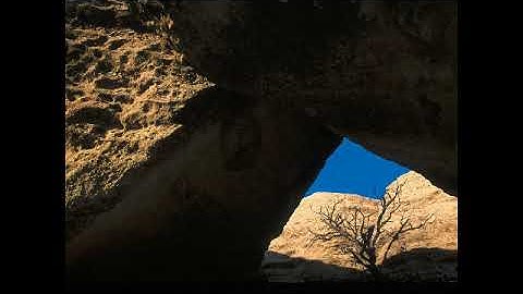 سورة ٱل عمران بصوت القارئ وائل رضوان قرشي