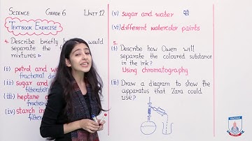 Class 6 - Science - Chapter 12 - Lecture 94 Textbook Exercise (Q 4,5)  - Allied Schools