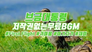 [브금대통령] (귀여움/아기자기/Fun) First Flight [무료음악/브금/Royalty Free Music]