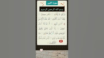 سورة التين | #قرآن #سوره_التين