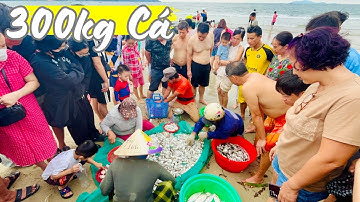 Mẻ cá khủng hiếm thấy: chục người vật lộn cả giờ, dân bu kín chờ mua