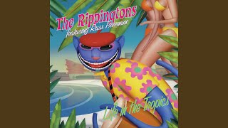Vignette de la vidéo "The Rippingtons - Rhythm Of Your Life"