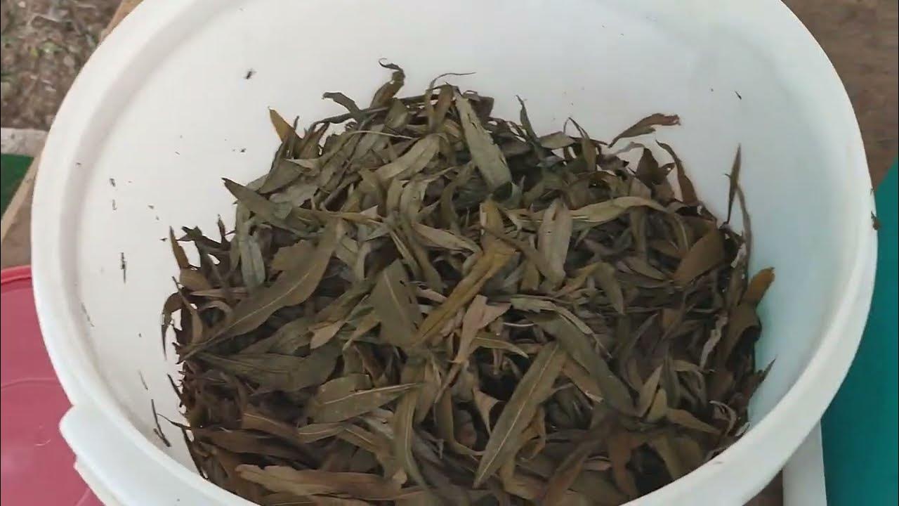 Машина для скручивания иван чая. дешево и сердито. - YouTube