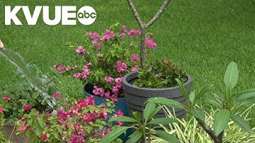 Austin Water considers strategy for the future