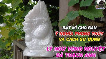 Ý Nghĩa Phong Thủy Cách Sử Dụng LÝ NGƯ VỌNG NGUYỆT Đá Thạch Anh Là Gì ?| Bí Mật