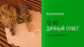 Анонс, Дачный Ответ, воскресенье в 12:00 на НТВ, 2024