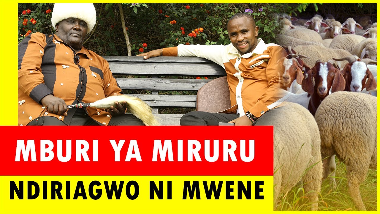 Mburi ya Miruru Irutagwo Niki?