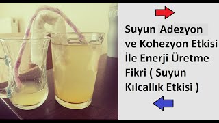 Suyun Adhezyon Ve Kohezyon Kılcallık Etkisi Ile Enerji Üretme Fikri Açıklamayı Oku