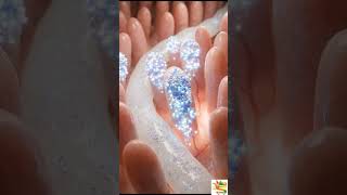 Greek Yogurt (Dahi) Khate Hi Body Me Kya Hota Hai? 😱 (Real Science) #shorts #humanbody
