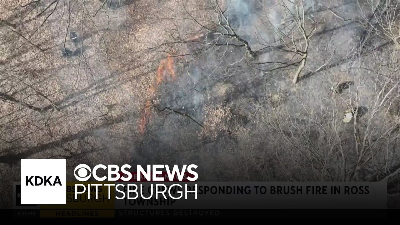 Crews battle brush fire in North Hills - YouTube