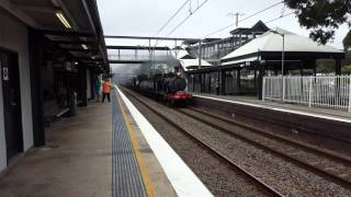 3016 + Bayer Garratt 6029 Double Header through Tuggerah!