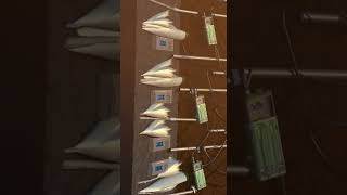 14,000 Kg. Dropped From 40,000 Feet. It Punched Through 60 Metres Of Earth Before Detonating.