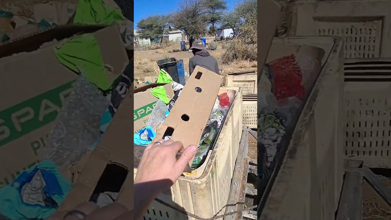 zero waste permaculture pigs