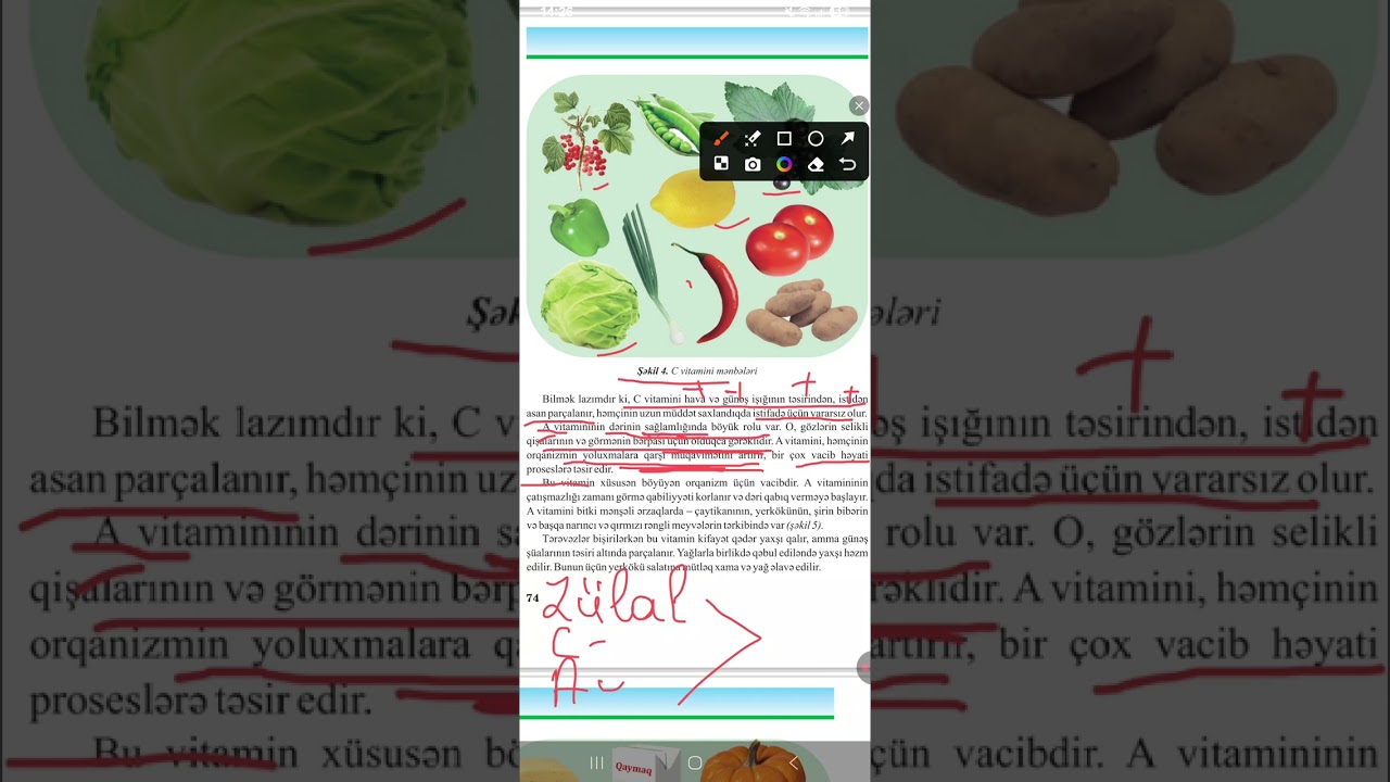 Texnologiya 6 sinif movzu 19 K. Çinare 