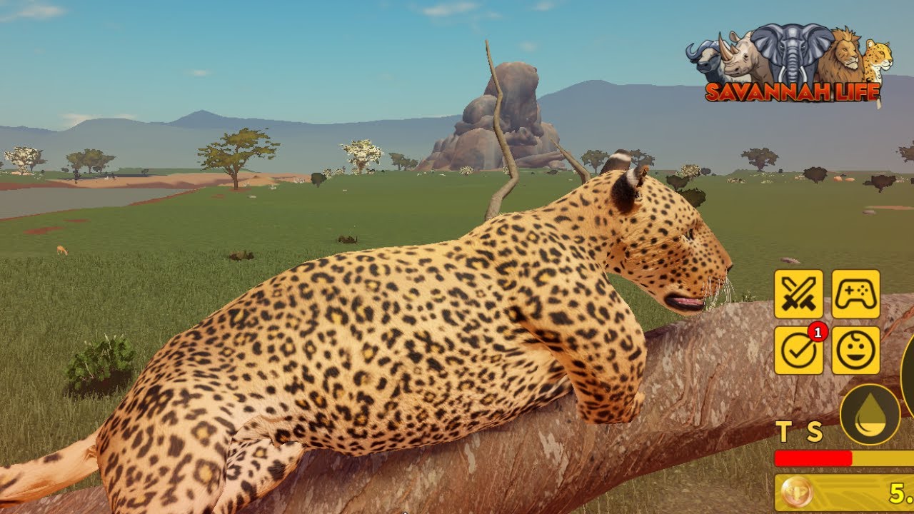 Quebrando panelinhas de leopardo no Savannah Life