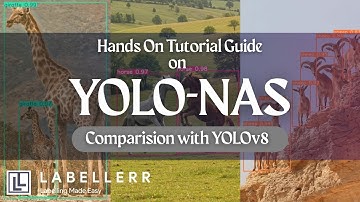 YOLO-NAS Explained: Object Detection with Neural Architecture Search | Comparison with YOLOv8