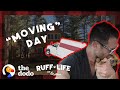 The Pack Moves Into A New House During A Blizzard | Ruff Life With Lee Asher