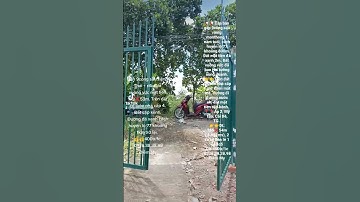 BÁN 9CÔNG SẦU RIÊNG MONTHONG MỸ TÂN CÁI BÈ TIỀN GIANG