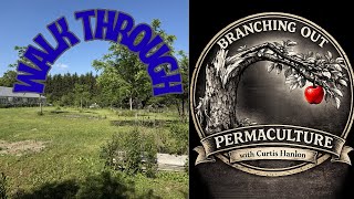 PERMACULTURE FOOD FOREST WALK THROUGH 2026 ZONE 6B How One Library Is Solving Food Insecurity With A Food Forest