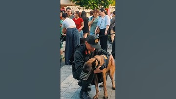 Cảnh khuyển vui đùa bên chú công an cưng quá #respect #congannhandan #canhsatcodong #shorts