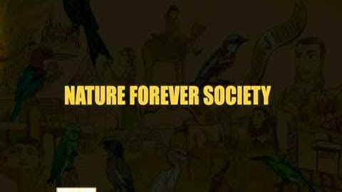 Common Bird Monitoring of India introductory video