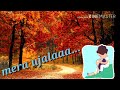 A mera aana wala kaal. Whatsapp Status Video Download Free