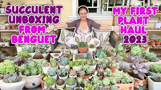SUCCULENT UNBOXING 2023 | SUCCULENT PLANTS ONLINE AT CHEAPER PRICE | By Intri's TV