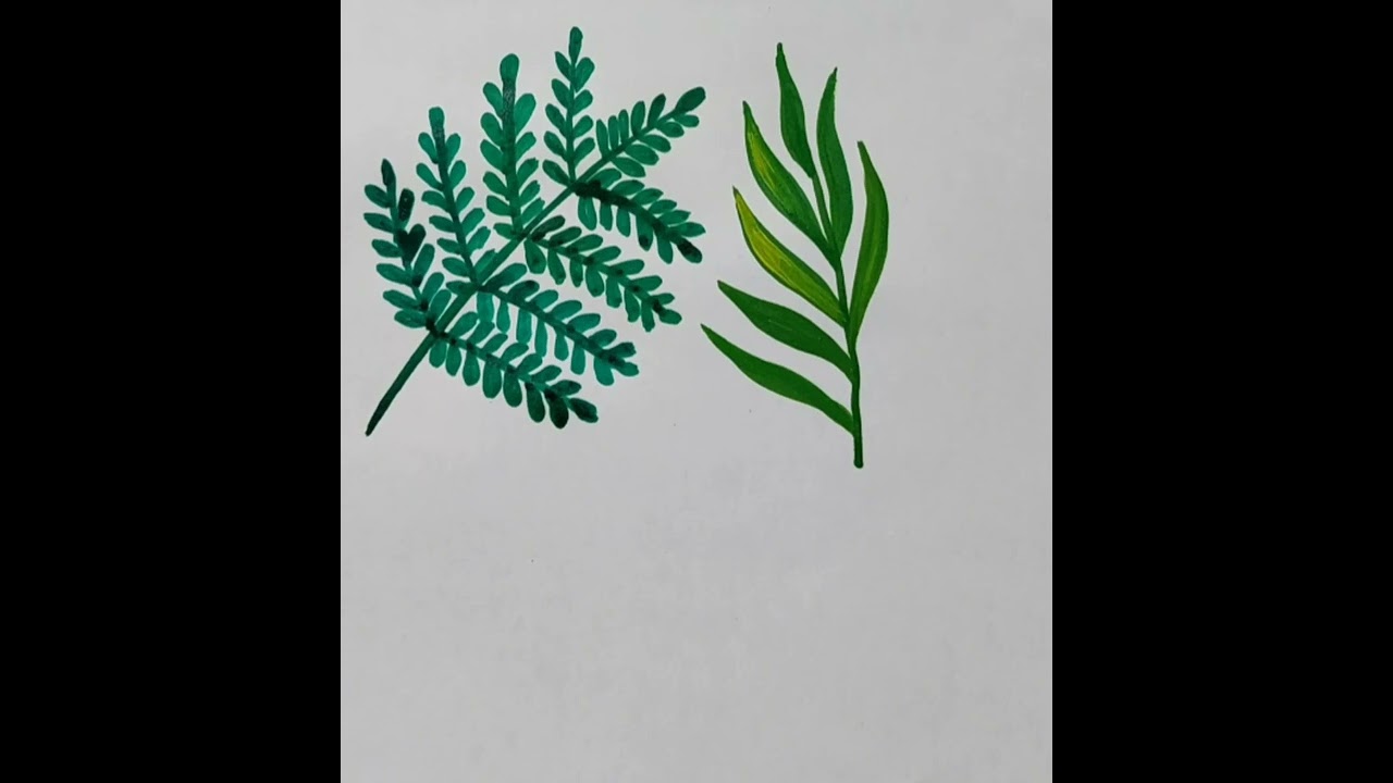 How to draw different types of leaf Leaf painting YouTube