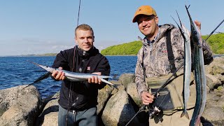LIVE Coronafisketur med Rasmus Brohave og Gordon P. Henriksen (Episode 2, Hornfisk)