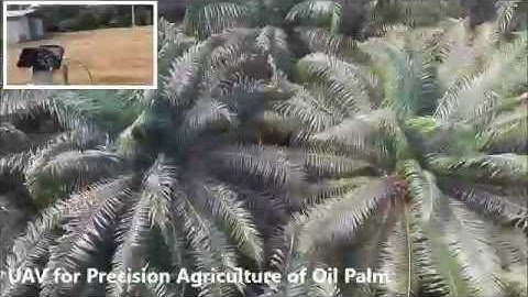 UAV for Precision Agriculture Oil Palm
