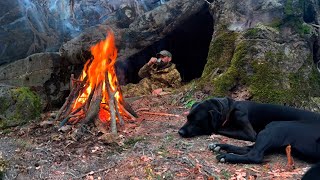 Amazing spring camp with dogs at the survival shelter was very interesting