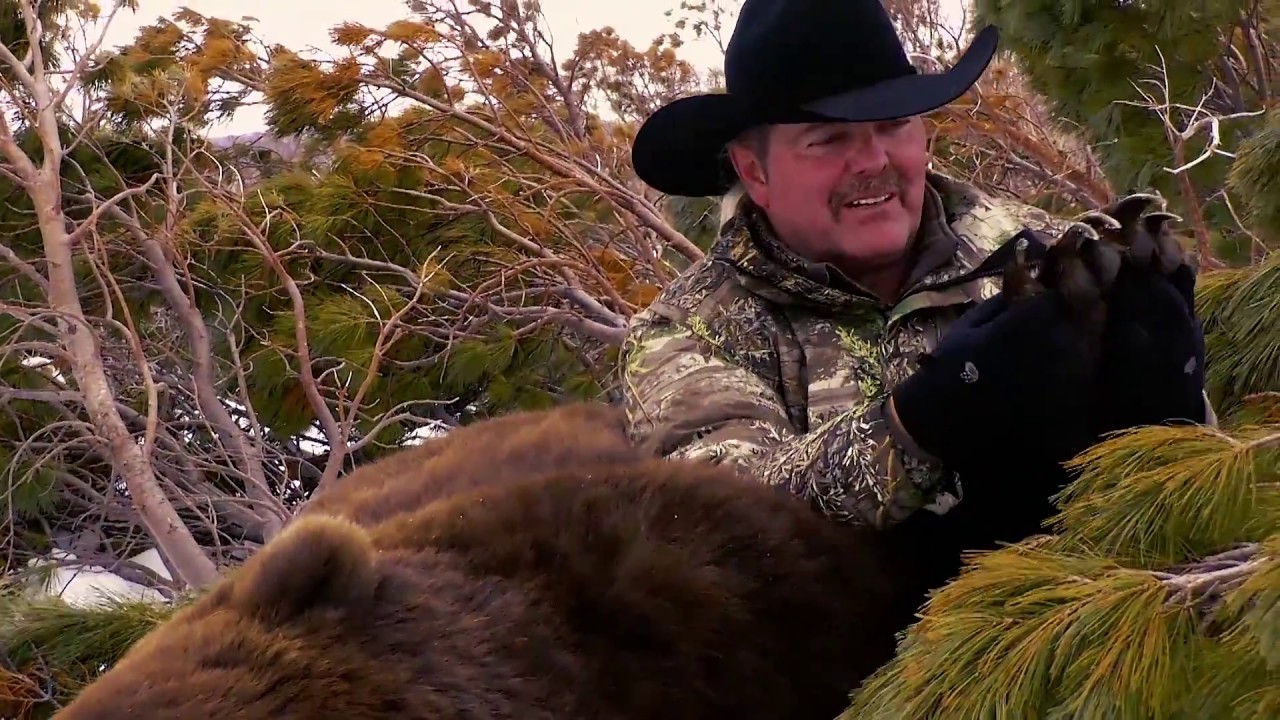 2017 Russia Brown Bears - Where in the World is Colorado Buck