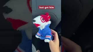 Target dog got rizz #target #dog