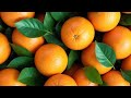 How to prune orange | how to grow orange tree at home | simple and easy way to grow orange