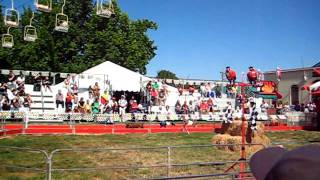 09-01-2011 Oregon State Fair - farmyard races 1