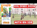 Dog Demonstration/ Azadi Ka Amrit Mahotsav