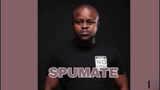 Spumate x TylerICU x Mariechan - Love