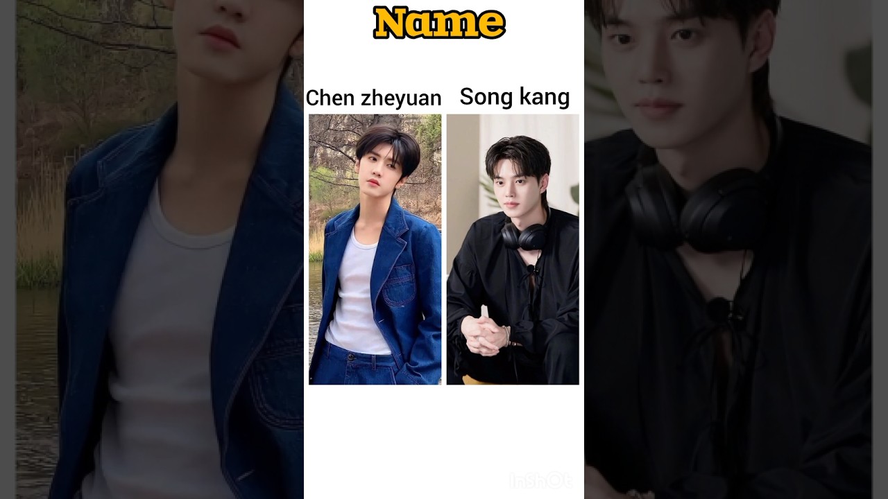 chen zheyuan and song kang ## edit ## vidhoos world