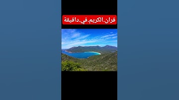سورة..القصص.سعود.الشريم #اكسبلور #راحة_نفسية #لايك #دويتو #quran #nature #duet #flowers #ترند