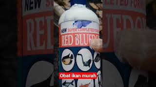 RED BLUEDOX! Obat Ikan #shorts