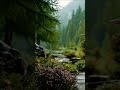 Relaxing River & Birds Singing 🌲 Nature Sounds for Study #shorts