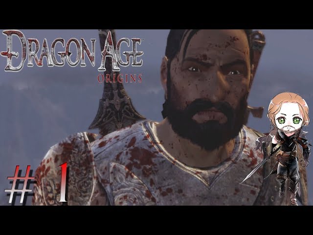 The Best Origin Story - Dragon Age Origins - #1 