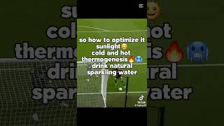 Improve Your Mitochindria Function